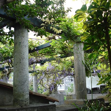 Quinta Das Buganvilias Castelo Branco  Екстер'єр фото