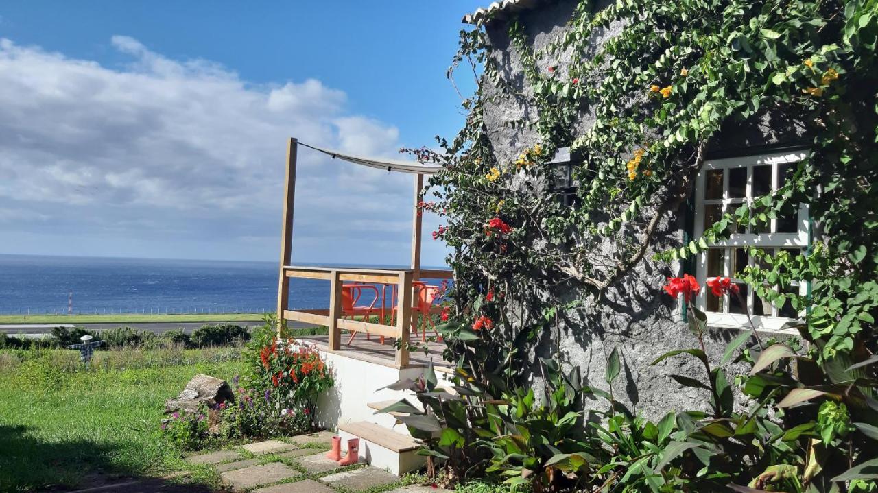 Quinta Das Buganvilias Castelo Branco  Екстер'єр фото