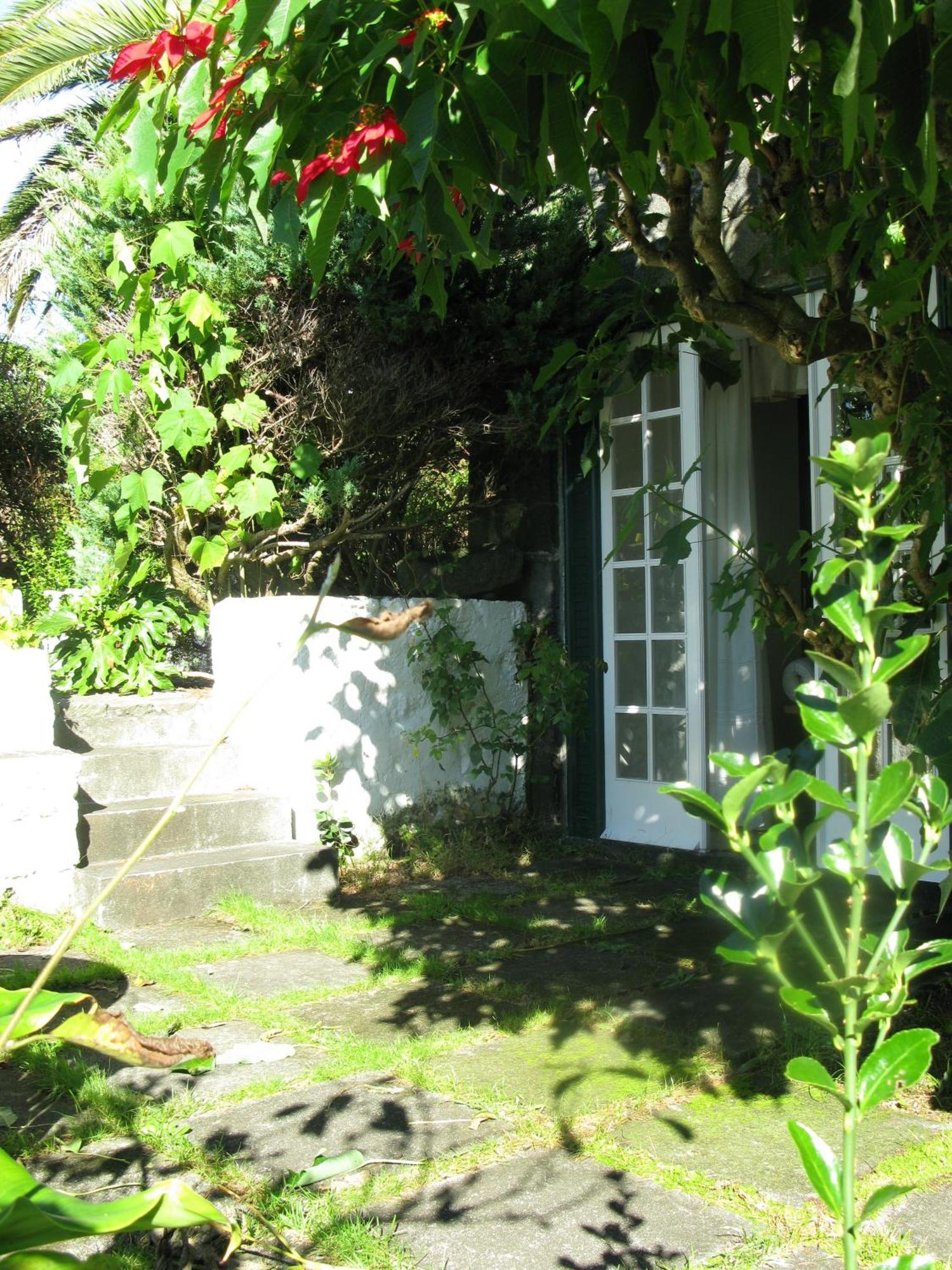 Quinta Das Buganvilias Castelo Branco  Екстер'єр фото