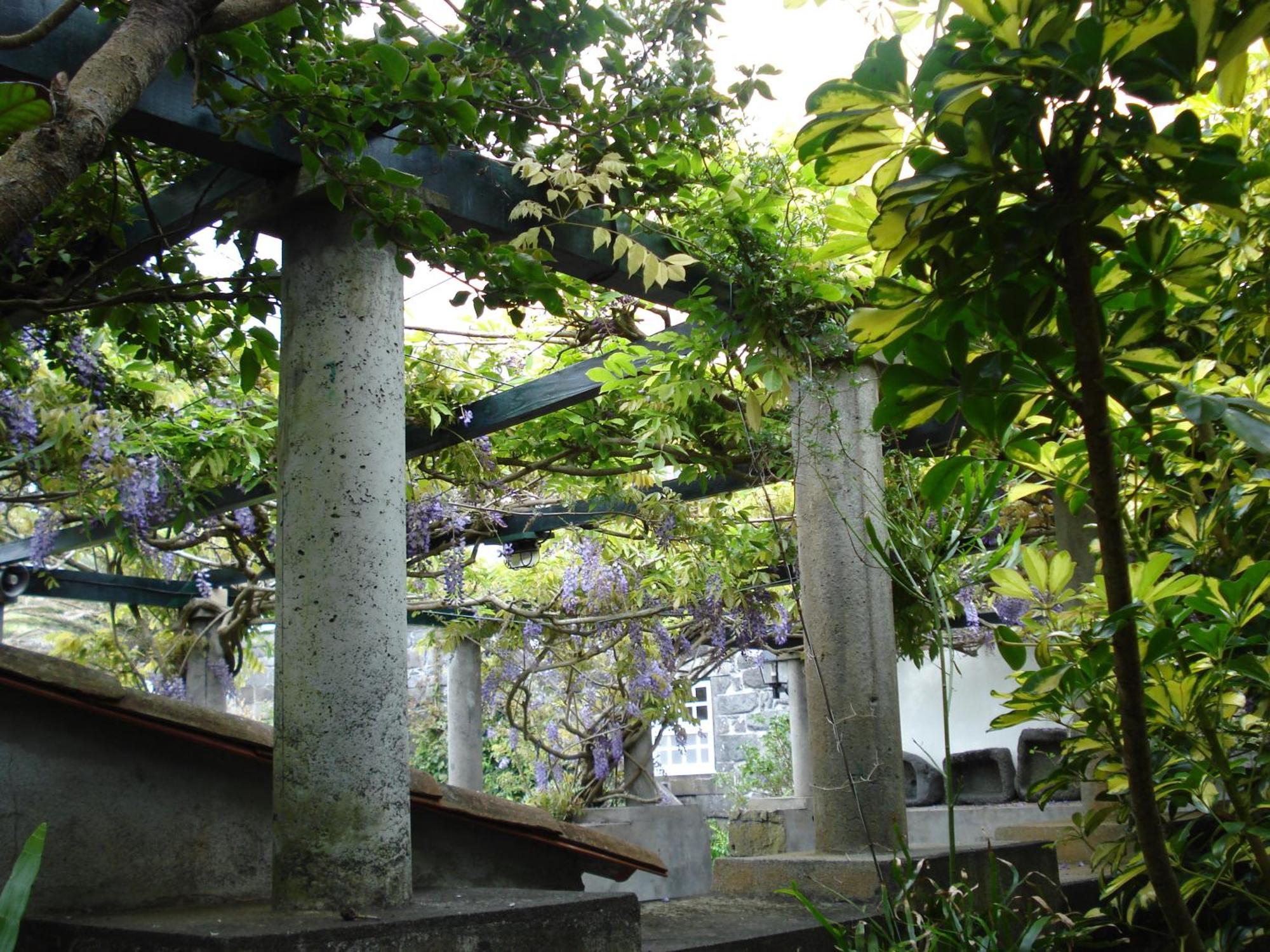 Quinta Das Buganvilias Castelo Branco  Екстер'єр фото