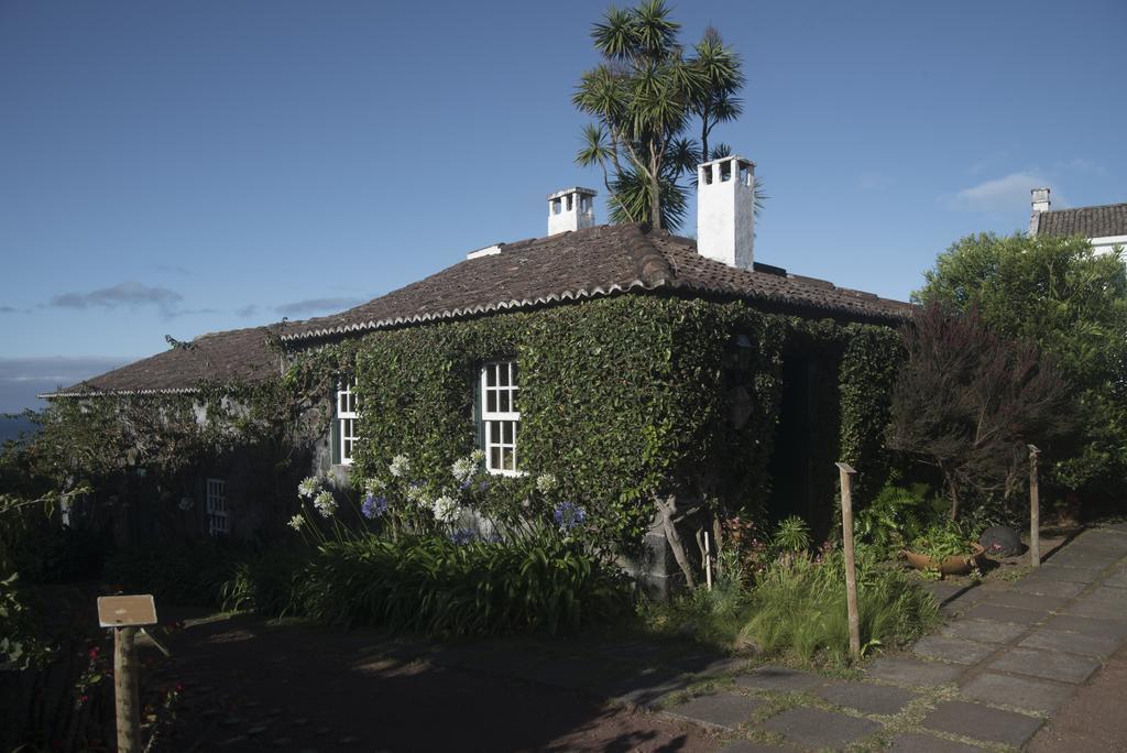 Quinta Das Buganvilias Castelo Branco  Екстер'єр фото
